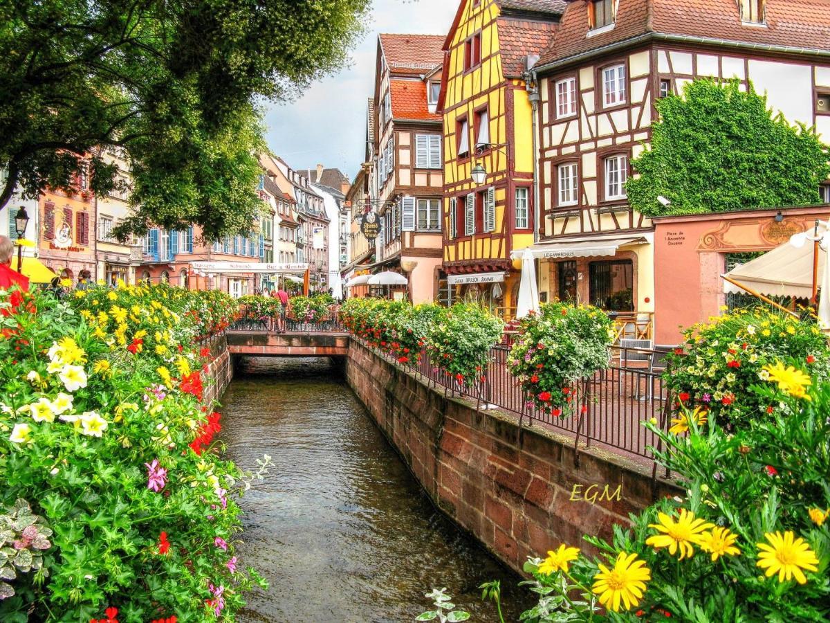Magnifique Gite Le Clos Des Pierres Route Des Vins D'Alsace Beblenheim Exterior photo