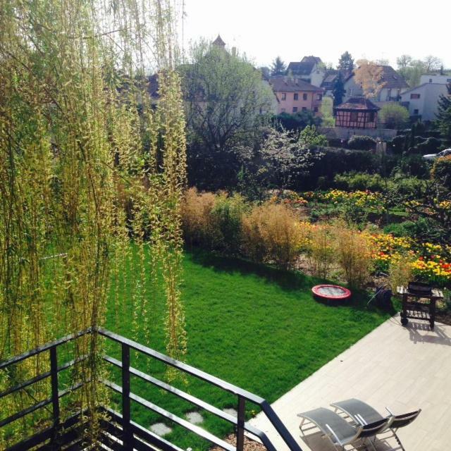 Magnifique Gite Le Clos Des Pierres Route Des Vins D'Alsace Beblenheim Exterior photo